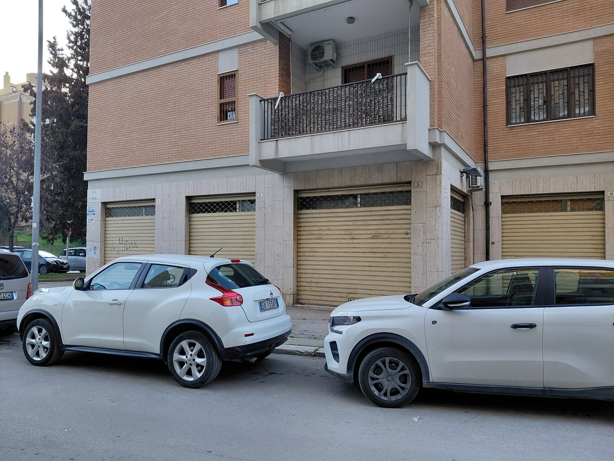 WhatsApp Image 2026-03-10 at 10.28.05(1)